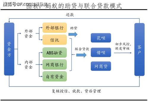 蚂蚁集团发展历程 股权架构 财务表现 业务版图 运营模式 海外布局